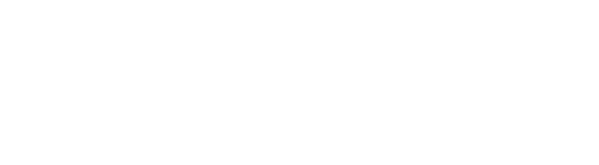 DFC_logo_wit_v2